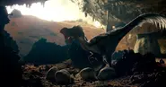 Oviraptor (début)