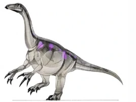 エルリコサウルス top