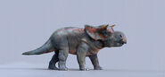Adam-baines-dp-nasutoceratopsinfant-v001-001-ab-final-1800