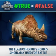 Elasmotherium TF.png (409 KB)