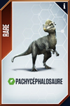 Pachycephalosaurus (The Game).png