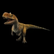 Raja JWA.png (373 КБ)