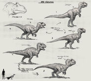 Raph-herrera-lomotan-allosaurus-baby-sheet1