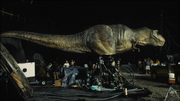 JP1FullRex.png