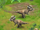 Pachycephalosaurus/Builder