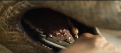 Stegosaurs getting its tooth pulled out.png