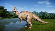 1529177055 end-3.jpg