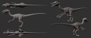 Model of Troodon
