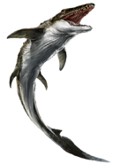 Variation 2 (Caribbean)