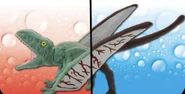Dimorphodon