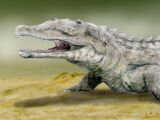 Smilosuchus