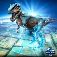 Allo gen 2.jpg (96 KB)