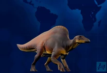 オウラノ 一覧