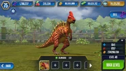Level 40