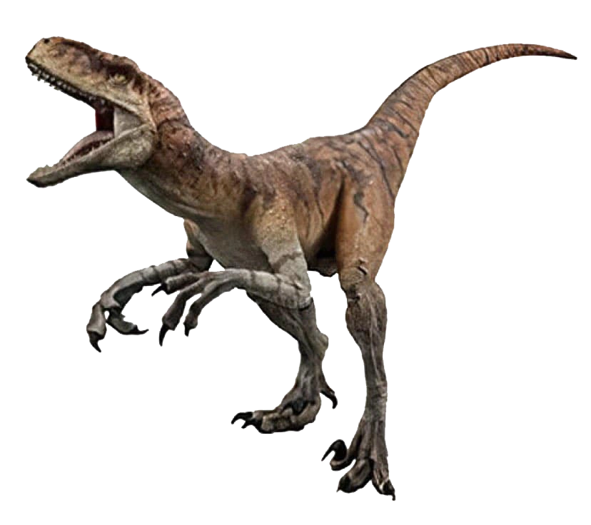 Atrociraptor Jurassic Park Wiki Fandom