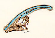 Parasaurolophus (1)