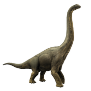 Brachiosaurus JWA Press Kit