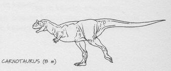 Carnotaurus1231231