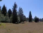 Private ranch in Fieldbrook, California