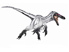 JPI Bambiraptor