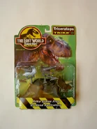 Young Triceratops