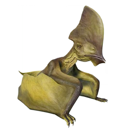 JWE2 Tapejara Database