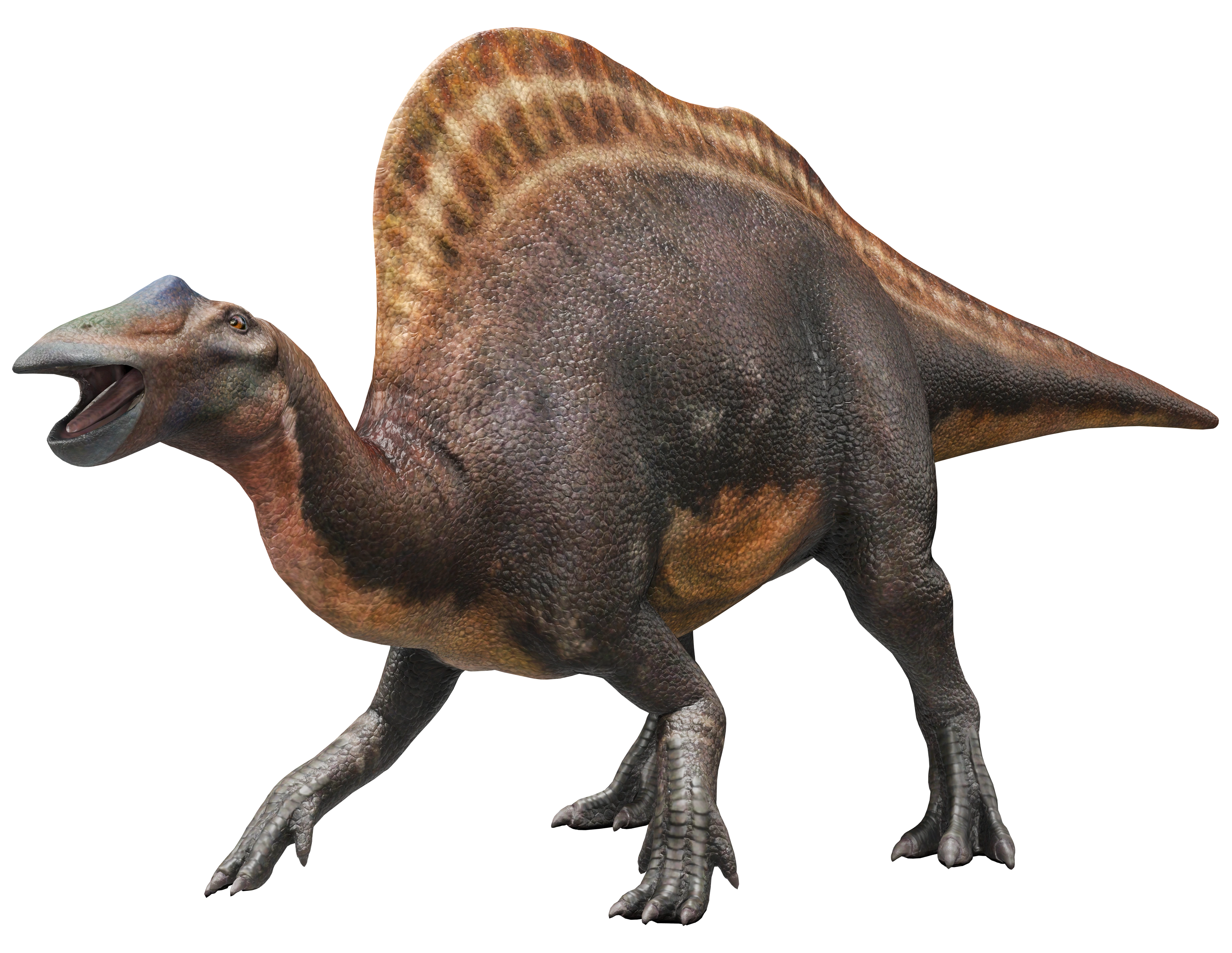 Ouranosaurus | Jurassic Park Wiki | Fandom, image size:3682x2849