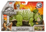 Pachyrhino sino jwfk