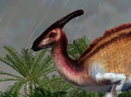 Parasaurolophus closeup from Jurassic Park: Operation Genesis