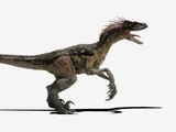 Red (Velociraptor)
