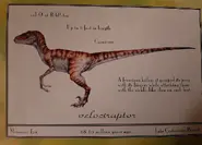 VelociraptorLostWorldFieldGuide.webp (66 kio)