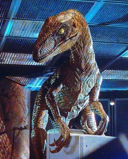 Tiranossauro Rex, Jurassic Park Wiki, FANDOM powered by Wikia