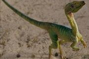 Compsognathus-01.jpg