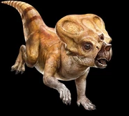 Gn-GH6AbwAAZFBp.jpeg (58 КБ)