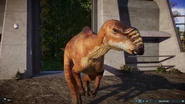 Muttaburrasaurus gameplay.jpg (105 KB)