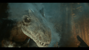 Allosaurus-Attack-Battle-at-big-Rock-7