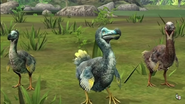 A trio of Dodos in Jurassic World Alive
