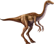 Gallimimus (5)