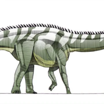 アンフィコエリアス ジュラシック パーク Wiki Fandom