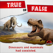 True or False Dinosaurs and mammals had coexisted