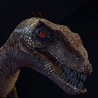 Velociraptor