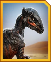 ステゴケラス g2