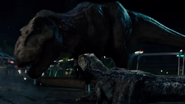 T. rex looking at Blue