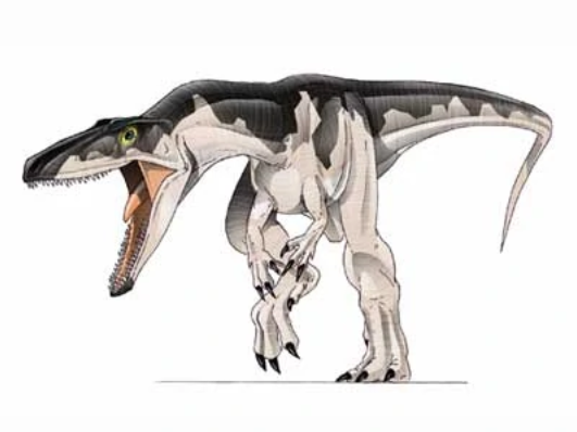 Dilophosaurus, Jurassic Park Wiki