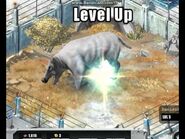 Level 5 Daeodon