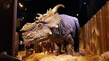 Pachyrhinosaurus-and