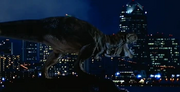 San Diego in TLWJP scene