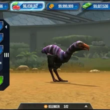 Kelenken Jw Tg Jurassic Park Wiki Fandom Today, i go around to catch phorusrhacos and i'm so lucky when i see kelenken that new cenozoic creature.