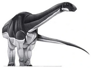 Bellusaurus