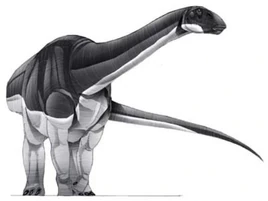 JPI Bellusaurus